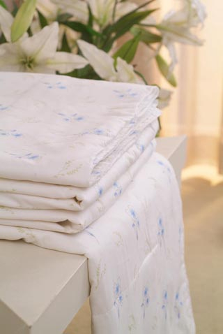 ����һ���Q�z��