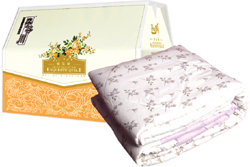 �C�����ᱻ