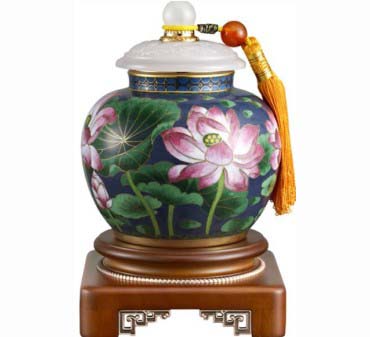 ������ɫ���~��