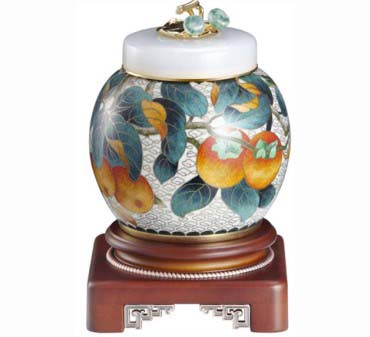 ����������~��