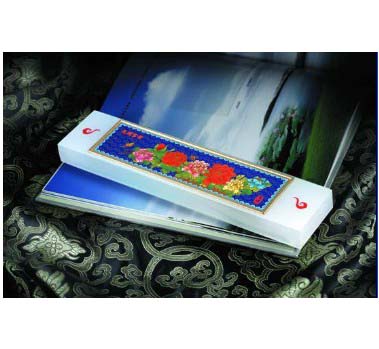 ���⼪�飨���(zh��n)��