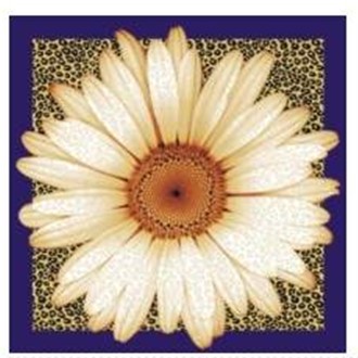 B1-010�`�� �W�_���z��