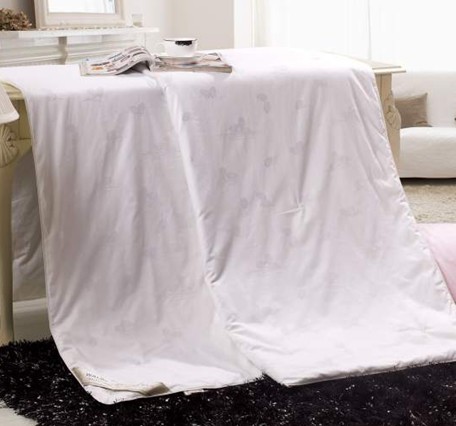 �A�{˹ ��ʼ�ɣ�Q�z��DH-13029