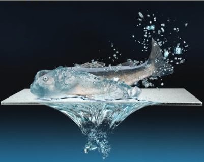 ɽˮ �O�ٽ����FJ007