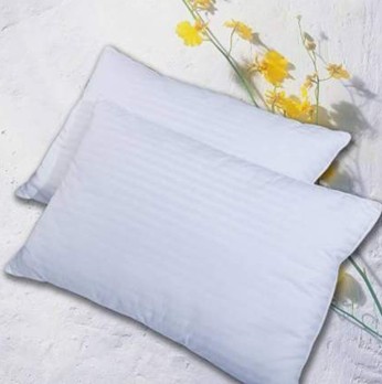 ���G�� �Q�z��RZ-1008  �������^