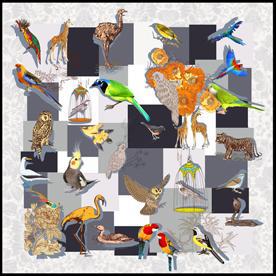 �W�_�� �w�BB1-020 �z�� �^��