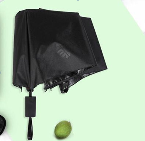 Paul Frank�����PFU002