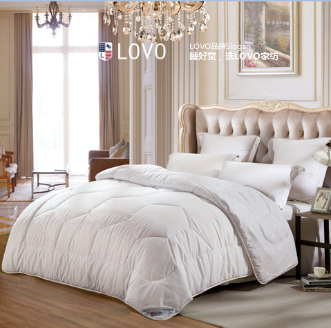 ��ѩ����Чů�q�� VQF2012-1