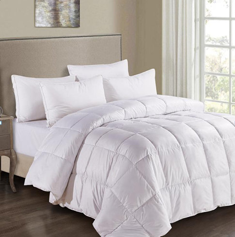 ����������q�� JB-1029