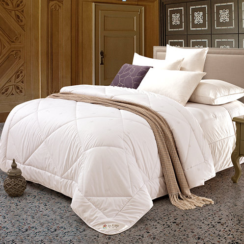 ������-ʥ֮��  ������ë��