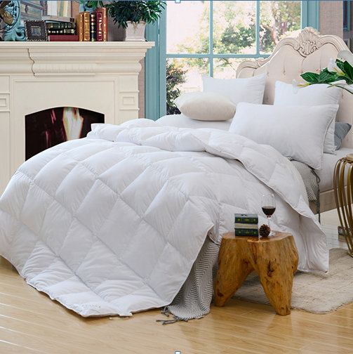 ������  ����ůܰ��q��