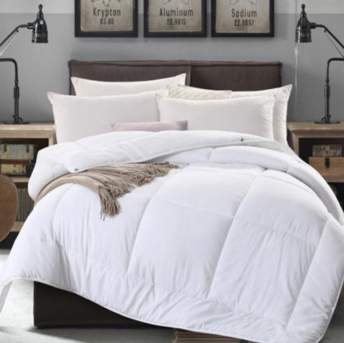 PAUL FRANK����ĥë��о ����w�P(y��ng)PF0832BZ