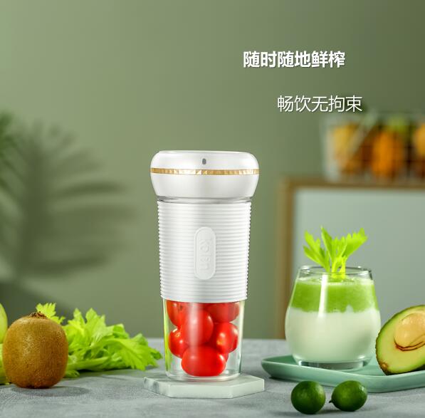 ���й�֭��L-GL3028D