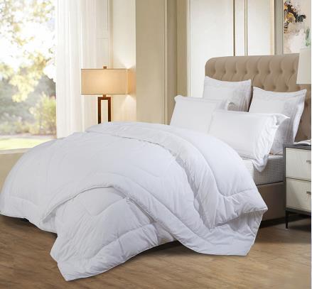 ������-ʥ֮�� �P������һ���ñ�