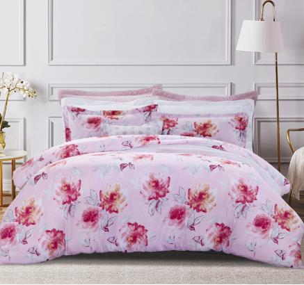 ������-ʥ֮�� �����ļ���-����A��