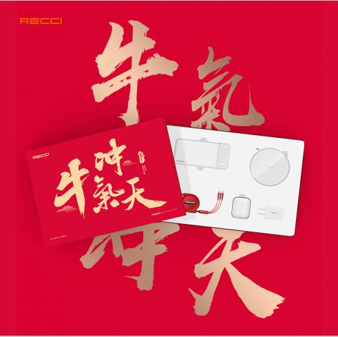 ���������YƷ���bRGB-N08